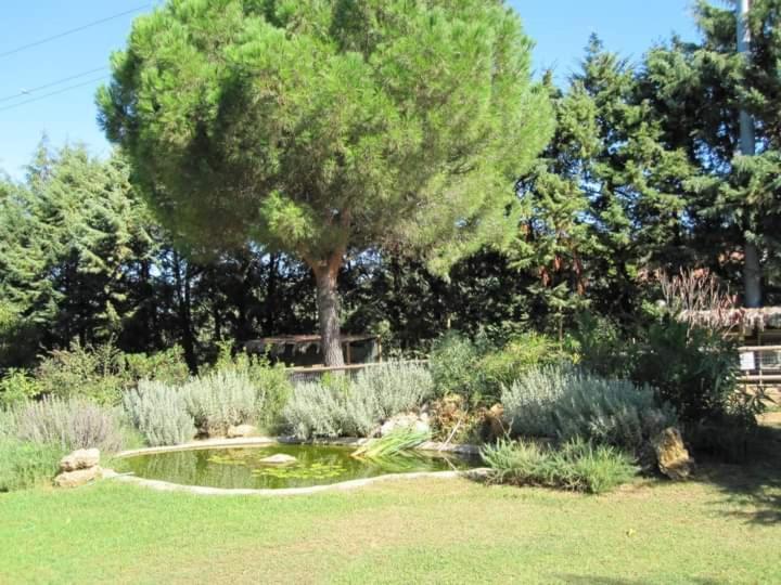Parco Delle Streghe Scarlino Exterior foto
